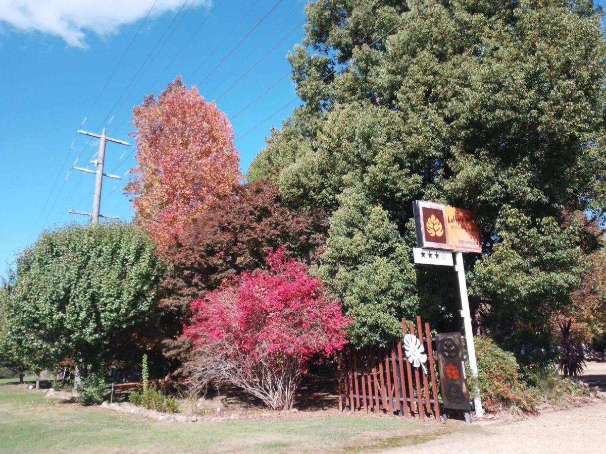 פורפנקה Buffalo Motel And Country Retreat מראה חיצוני תמונה